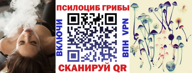 ссылка на мегу   продажа наркотиков  Черепаново  Псилоцибиновые грибы MAGIC MUSHROOMS 