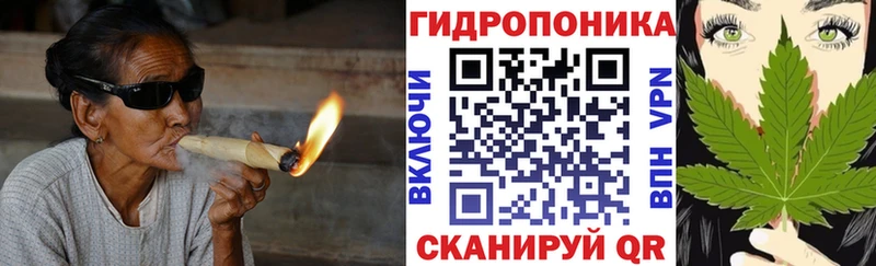 Бошки Шишки планчик  Черепаново 
